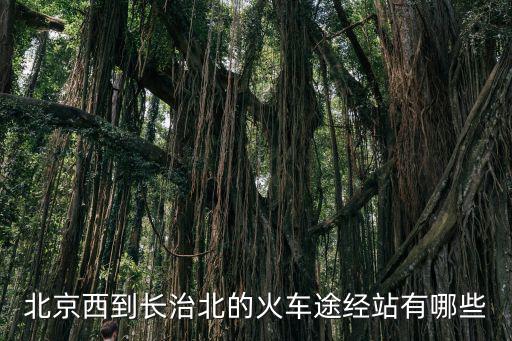 北京到長(zhǎng)治，北京西到長(zhǎng)治北的火車途經(jīng)站有哪些