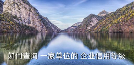 如何查詢 一家單位的 企業(yè)信用等級