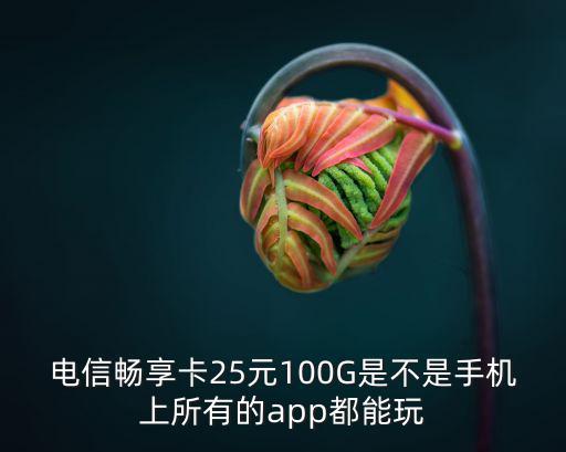 電信暢享卡25元100G是不是手機上所有的app都能玩