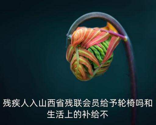 殘疾人入山西省殘聯(lián)會員給予輪椅嗎和生活上的補給不