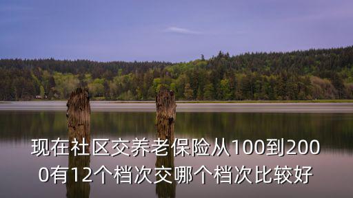 居民養老保險交哪個檔次好，現在社區交養老保險從100到2000有12個檔次交哪個檔次比較好