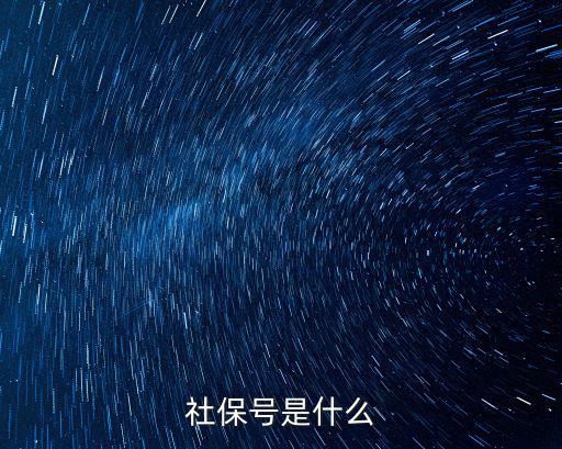 社保號是什么