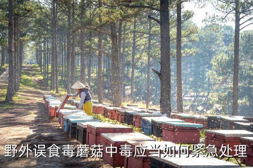 野外誤食毒蘑菇中毒應(yīng)當如何緊急處理