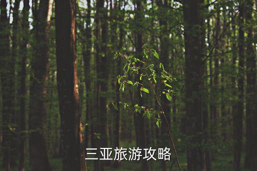 三亞旅游攻略