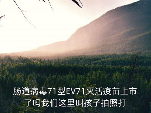 腸道病毒71型EV71滅活疫苗上市了嗎我們這里叫孩子拍照打