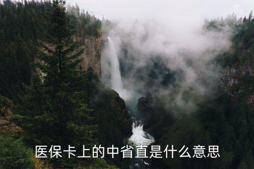 省直醫保什么意思，醫保卡上的中省直是什么意思
