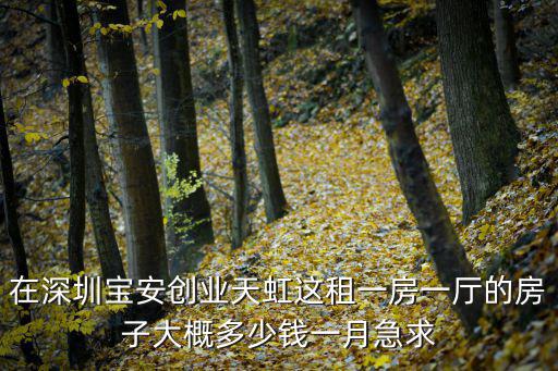 在深圳寶安創(chuàng)業(yè)天虹這租一房一廳的房子大概多少錢一月急求