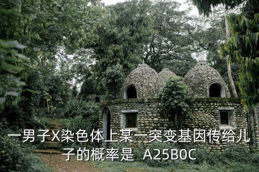 一男子X染色體上某一突變基因傳給兒子的概率是  A25B0C