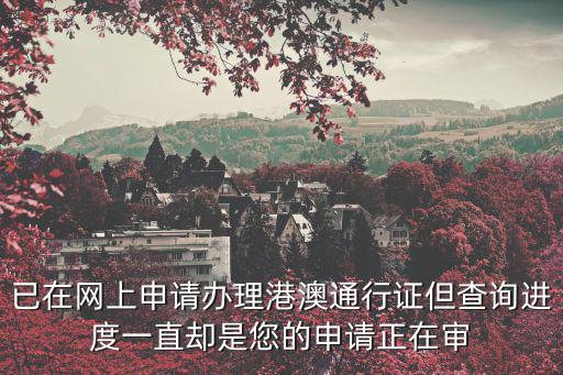 已在網上申請辦理港澳通行證但查詢進度一直卻是您的申請正在審