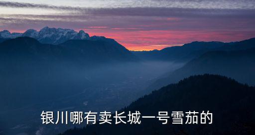 長(zhǎng)城一號(hào)，銀川哪有賣(mài)長(zhǎng)城一號(hào)雪茄的