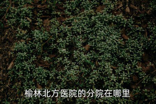 榆林北方醫院的分院在哪里
