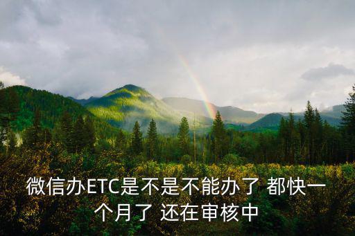 微信辦ETC是不是不能辦了 都快一個(gè)月了 還在審核中