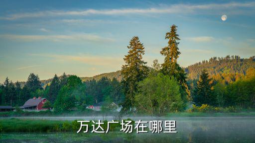 萬達廣場在哪里