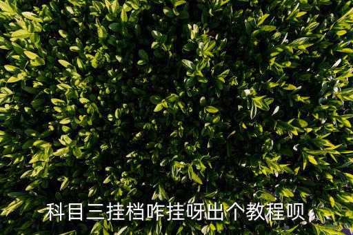 科目三換擋，科目三掛檔咋掛呀出個(gè)教程唄