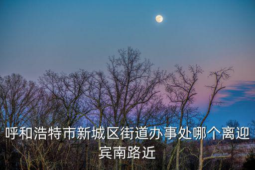 新城街道辦事處，呼和浩特市新城區街道辦事處哪個離迎賓南路近