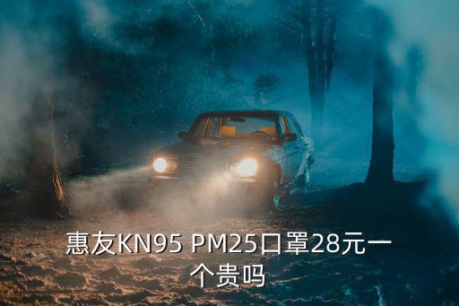惠友KN95 PM25口罩28元一個貴嗎