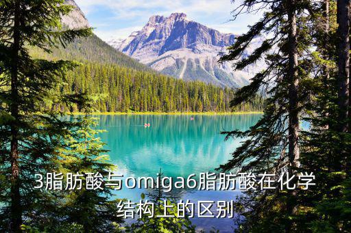 3脂肪酸與omiga6脂肪酸在化學結構上的區別