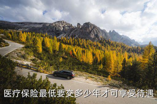 醫療保險待遇，醫療保險最低要交多少年才可享受待遇