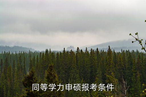 同等學(xué)力申請(qǐng)碩士，同等學(xué)力申碩報(bào)考條件
