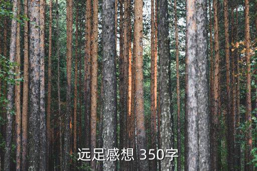遠(yuǎn)足感想 350字