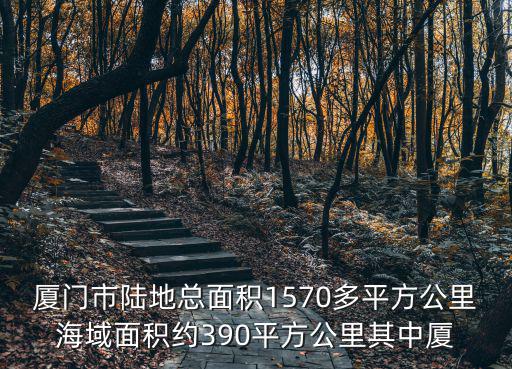 廈門市陸地總面積1570多平方公里海域面積約390平方公里其中廈