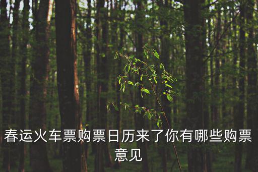 春運火車票購票日歷來了你有哪些購票意見