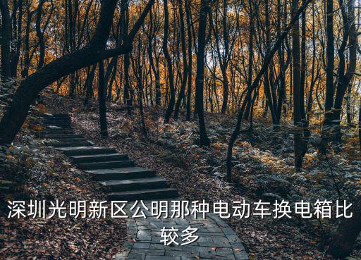 深圳光明新區公明那種電動車換電箱比較多