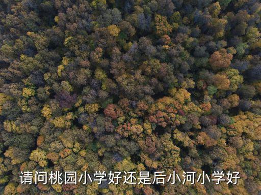 請(qǐng)問(wèn)桃園小學(xué)好還是后小河小學(xué)好