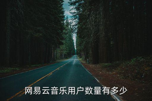 網(wǎng)易云音樂用戶數(shù)量有多少