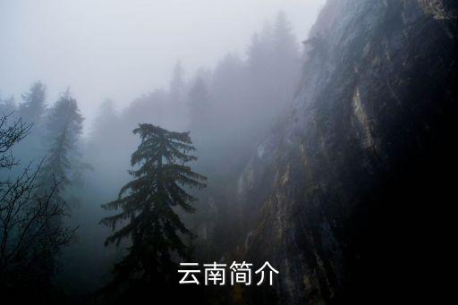 云南簡介