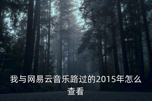 我與網(wǎng)易云音樂路過的2015年怎么查看