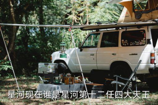 星河現(xiàn)在誰是星河第十二任四大天王