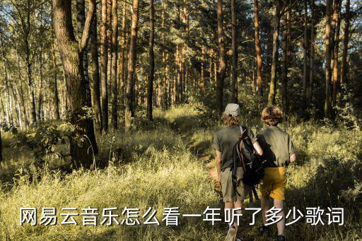 網(wǎng)易云音樂怎么看一年聽了多少歌詞