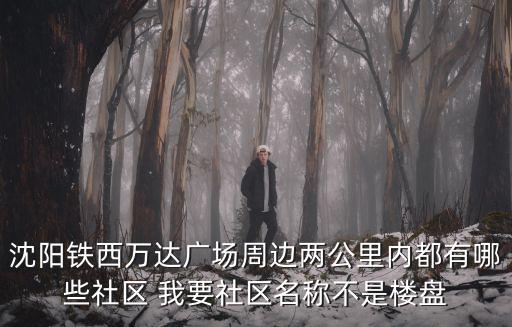 沈陽社區，沈陽鐵西萬達廣場周邊兩公里內都有哪些社區 我要社區名稱不是樓盤