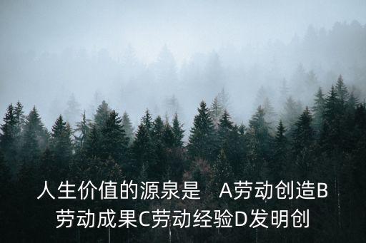 人生價值的源泉是   A勞動創造B勞動成果C勞動經驗D發明創