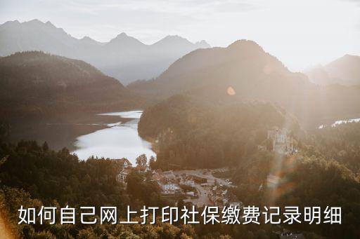 如何自己網上打印社保繳費記錄明細