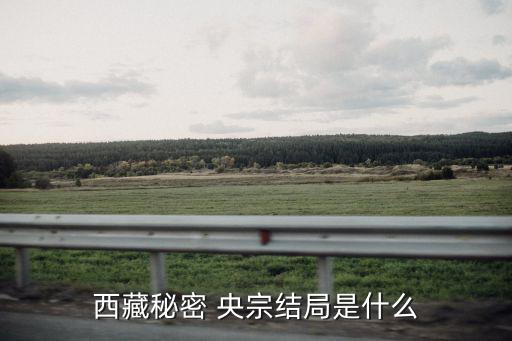 西藏秘密 央宗結局是什么