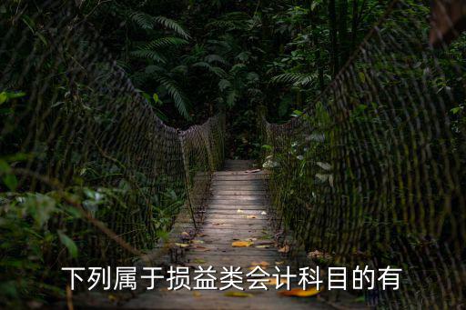 下列屬于，下列屬于損益類會計科目的有