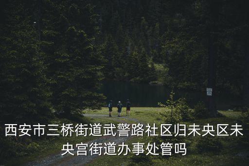 西安市三橋街道武警路社區(qū)歸未央?yún)^(qū)未央宮街道辦事處管嗎