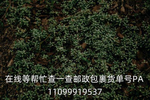 在線等幫忙查一查郵政包裹貨單號PA11099919537