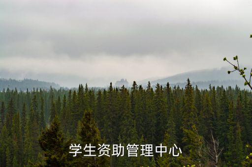 全國(guó)學(xué)生資助中心，全國(guó)學(xué)生資助管理系統(tǒng)只能在一臺(tái)電腦上登陸嗎