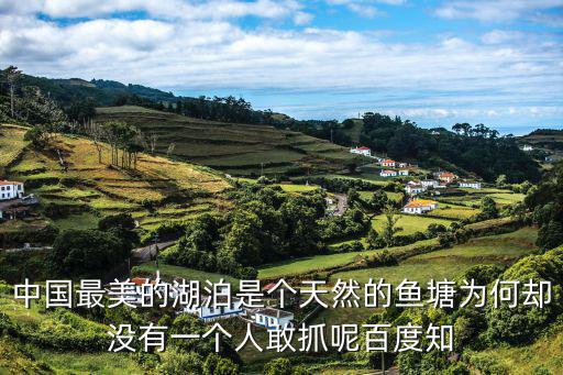 山湖，中國最美的湖泊是個天然的魚塘為何卻沒有一個人敢抓呢百度知