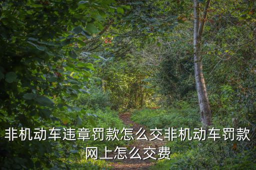 非機動車，機動車和非機動車怎么區分