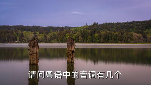 粵語有幾個聲調(diào)，請問粵語中的音調(diào)有幾個