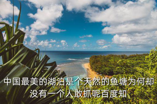 中國最美的湖泊是個天然的魚塘為何卻沒有一個人敢抓呢百度知