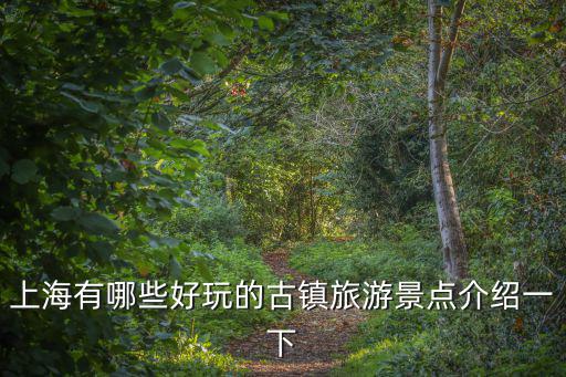 上海有哪些好玩的古鎮旅游景點介紹一下