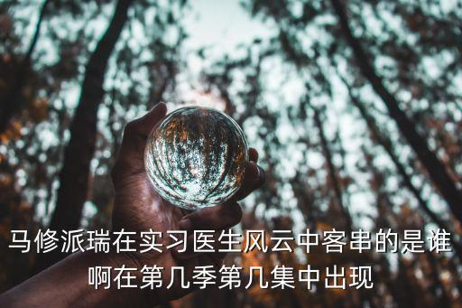 馬修派瑞在實習醫生風云中客串的是誰啊在第幾季第幾集中出現