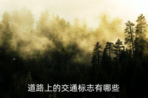 道路上的交通標志有哪些