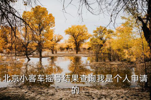 北京小客車搖號(hào)結(jié)果查詢我是個(gè)人申請(qǐng)的