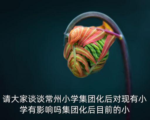 集團化辦學，學區(qū)化集團化辦學對教師有什么影響